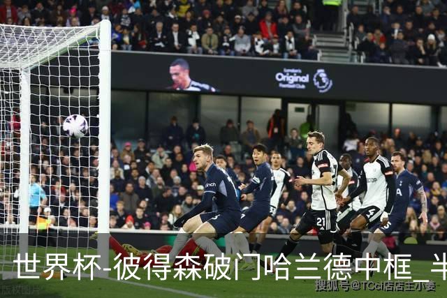 世界杯-彼得森破门哈兰德中框 半场挪威1-0塞内加尔